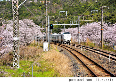 Limited Express Kuroshio running through Yamanaka-kei in Osaka Prefecture 110575313