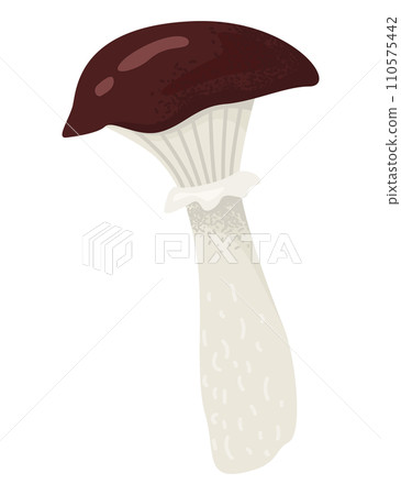 Detailed illustration of a single brown capped mushroom with a white stem. Naturalistic style, edible fungus drawing. Edible mushroom, culinary ingredient vector illustration. Detailed illustration of a single brown capped mushroom with a white stem. Naturalistic style, edible fungus drawing. Edible mushroom, culinary ingredient vector illustration. 110575442