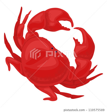 Red crab cartoon character in side profile pose. Marine life and seafood concept vector illustration. Red crab cartoon character in side profile pose. Marine life and seafood concept vector illustration. 110575589