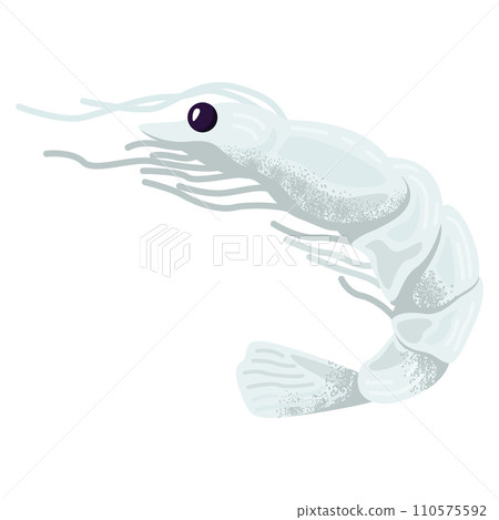 Detailed illustration of a single shrimp, ocean crustacean isolated. Marine animal, seafood theme vector illustration. Detailed illustration of a single shrimp, ocean crustacean isolated. Marine animal, seafood theme vector illustration. 110575592