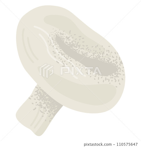 Mushroom champignon vector illustration. Edible white fungi, healthy organic food illustration. Mushroom champignon vector illustration. Edible white fungi, healthy organic food illustration. 110575647