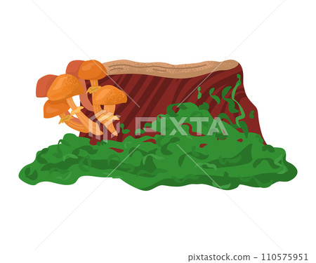 Mushrooms growing on stump, forest fungi with green moss. Autumn natural scene, wild chanterelles vector illustration. 110575951