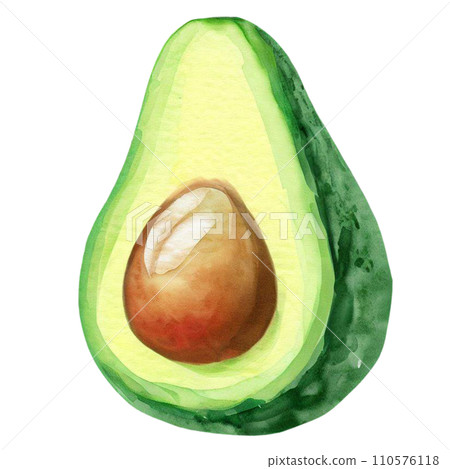 Avocado Avocado 110576118