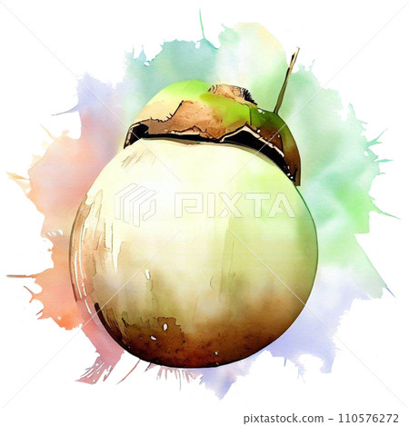 Coconut Coconut 110576272
