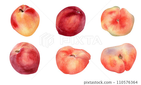 Watercolor set of fresh various peaches isolated on white. Hand drawn illustration ripe fruits nectarine, fig peaches. Whole peaches painted. Design element for package, label and other project 110576364