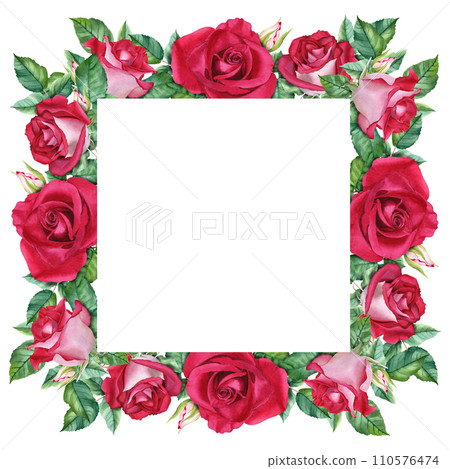 Frame with red flower rose blooms, leaves and buds. Hand drawn watercolor illustration isolated on white background. For clip art cards invitation greeting label 110576474