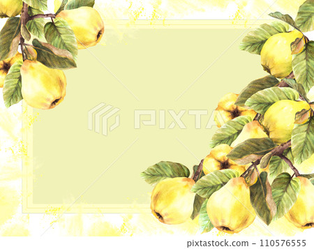 Hand painted watercolor banner, frame. Branches with yellow juicy quince whole fruits and leaves with stains and splashes Template illustration for card menu label Isolated on green, yellow background 110576555
