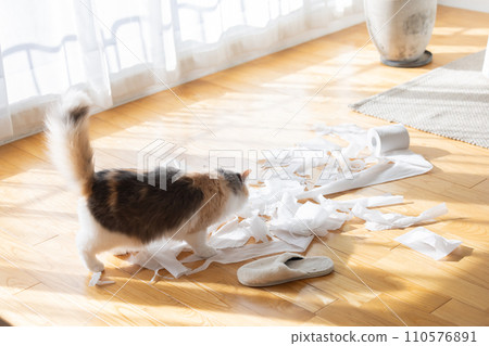 貓用衛生紙惡作劇 110576891