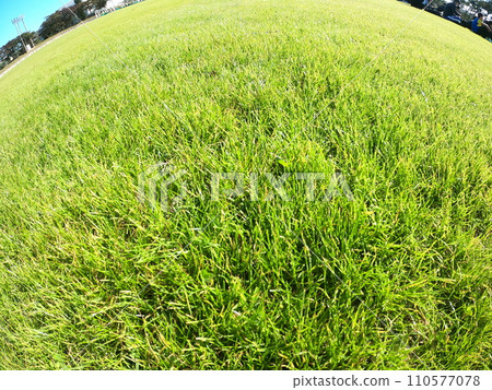 lawn spreading on the lawn 110577078