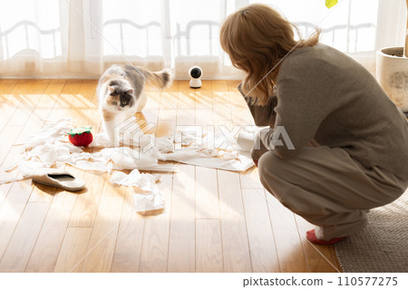 Owner worries as cat plays prank with toilet paper 110577275