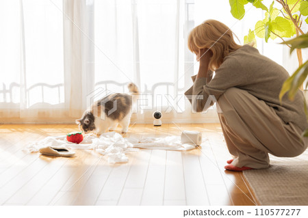Owner worries as cat plays prank with toilet paper Owner worries as cat plays prank with toilet paper 110577277