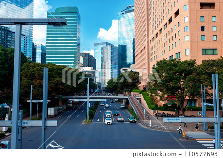 Shinjuku, Tokyo Japan, cityscape 110577693