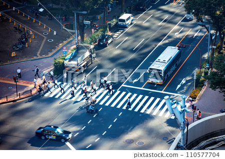 Shinjuku, Tokyo Japan, cityscape Shinjuku, Tokyo Japan, cityscape 110577704