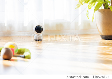 客廳地板上的寵物相機和貓玩具 客廳地板上的寵物相機和貓玩具 110578122