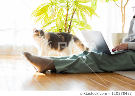 A cat playing next to its owner who is looking at a computer 110578452