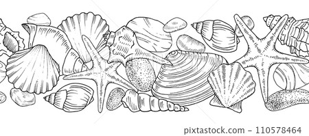 Seashell seamless Border. Vector outline illustration. Hand drawn pattern of Sea frame. Linear drawing on isolated white background. Black contour line art of nautical ornament. For bathroom textile 110578464