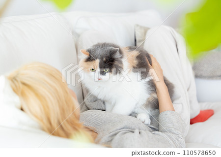 Cat relaxing on the sofa with its owner 110578650