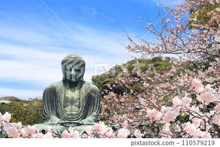 Ancient bronze statue of the Great Buddha Daibutsu and flowers of sakura, Kotoku-in temple, Japan, Asia. Traditional japanese hanami festival. Cherry blossoming season in Japan Ancient bronze statue of the Great Buddha Daibutsu and flowers of sakura, Kotoku-in temple, Japan, Asia. Traditional japanese hanami festival. Cherry blossoming season in Japan 110579219