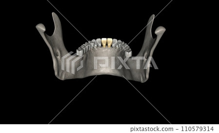 The mandibular central incisor is the tooth located on the jaw, adjacent to the midline of the face 110579314