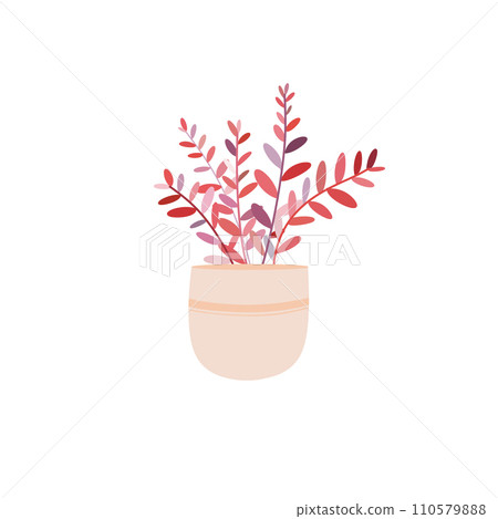 Valentine red plant in the pot 110579888