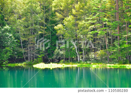 Summer Mishaka Pond Summer Mishaka Pond 110580280