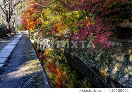 Philosopher's Walk during autumn in Kyoto. Philosopher's Walk during autumn in Kyoto. 110580621