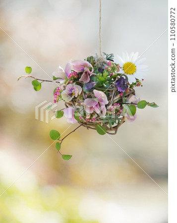 中提琴花球 中提琴花球 110580772