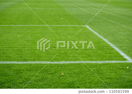 Soccer field in near plan 110581599