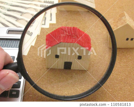 Examine the house 110581813