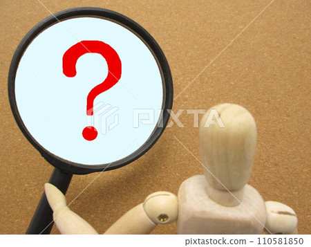 這是什麼？ 110581850