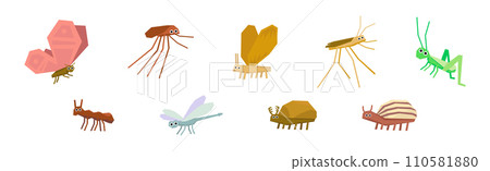 Funny Insect Small Crawling Animal Vector Set 110581880