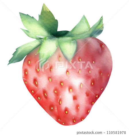 Strawberry Strawberry 110581978