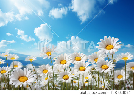 Generative AI a row of daisies and some daisies flowers close up Generative AI a row of daisies and some daisies flowers close up 110583035