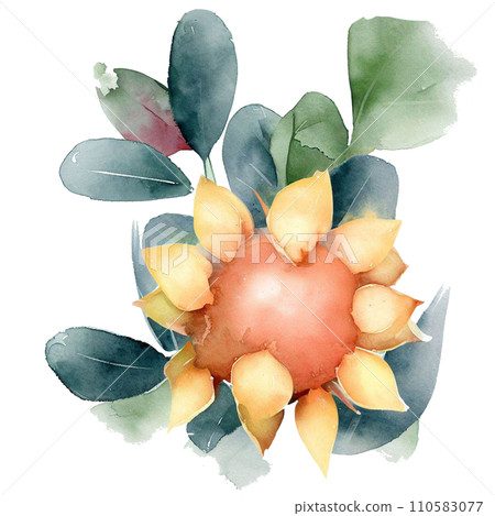 Fruit Fruit 110583077