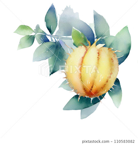 Fruit Fruit 110583082