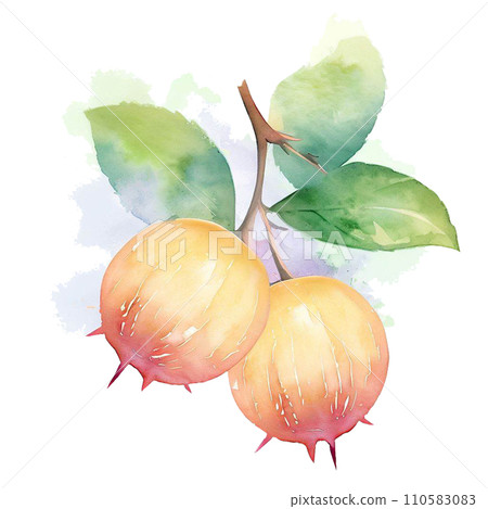 Fruit  110583083