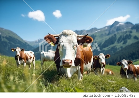 Generative AI a herd of cows and a cow in the foreground on a mountain meadow Generative AI a herd of cows and a cow in the foreground on a mountain meadow 110583452