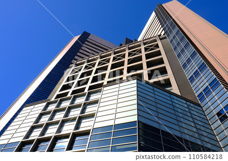 國家癌症研究中心中心醫院 110584218