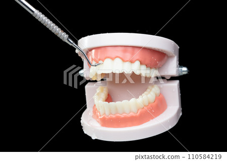 Artificial Tooth Plastic jaw check up decay health with dentist instrument tools. Teeth of dental jaw model open decay area with instrument tools before operation. Black background isolated. 110584219