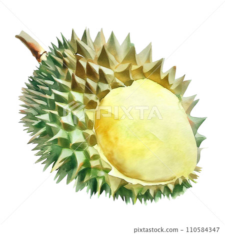 durian 110584347