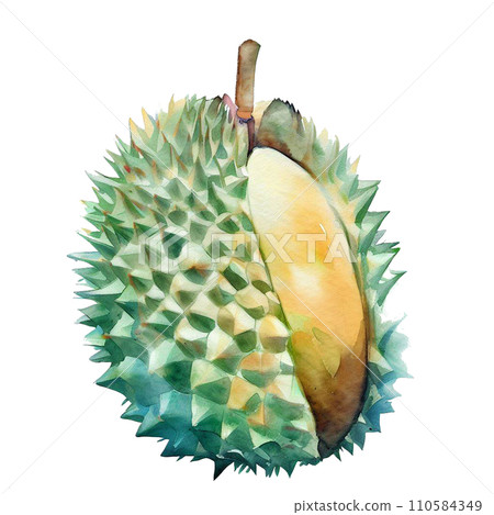 durian 110584349