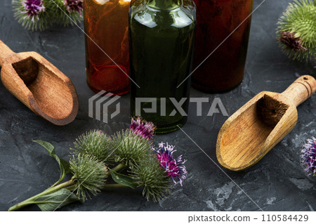 Medicinal plant burdock Arctium 110584429