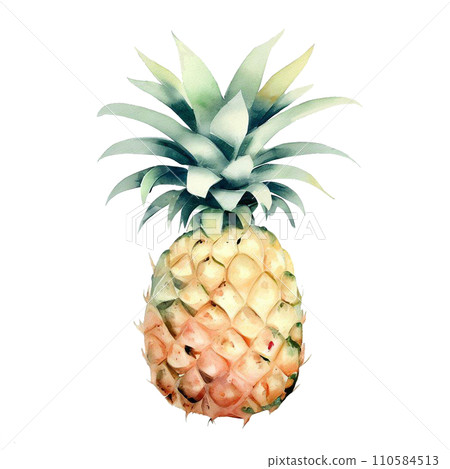 pineapple pineapple 110584513