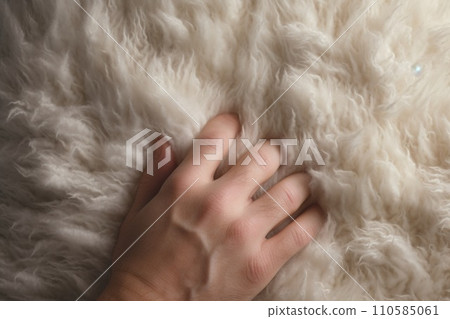 Generative AI Wool texture close up hand holding the fabrics Generative AI Wool texture close up hand holding the fabrics 110585061