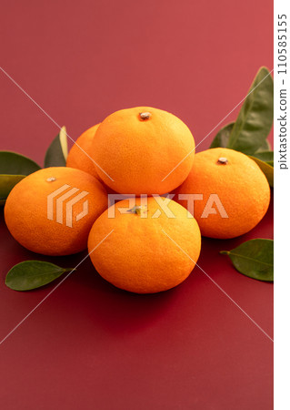 Tangerine Chinese lunar new year Tangerine Chinese lunar new year 蜜橘みかん Tangerine Chinese lunar new year Tangerine Chinese lunar new year 蜜橘みかん 110585155