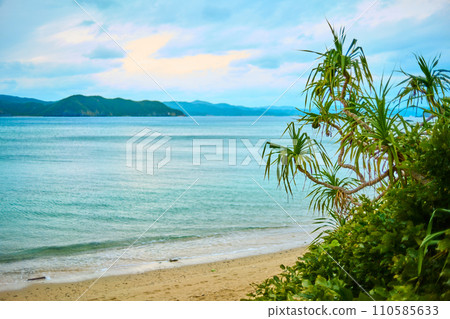 奄美大島/大海/沙灘 110585633