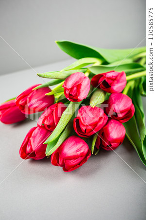 Pink tulips over gray background Pink tulips over gray background 110585775