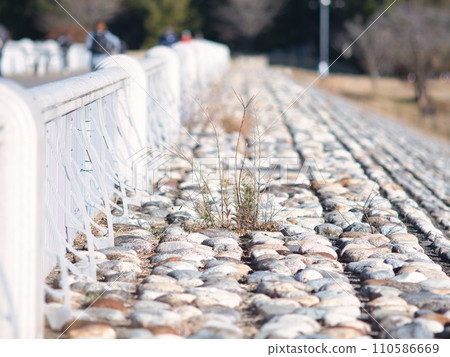 Embankment of Lake Tama 110586669