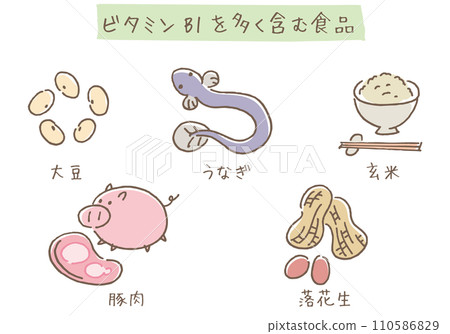 Foods rich in vitamin B1 110586829