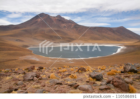 阿塔卡馬高地的米尼克斯湖 110586891